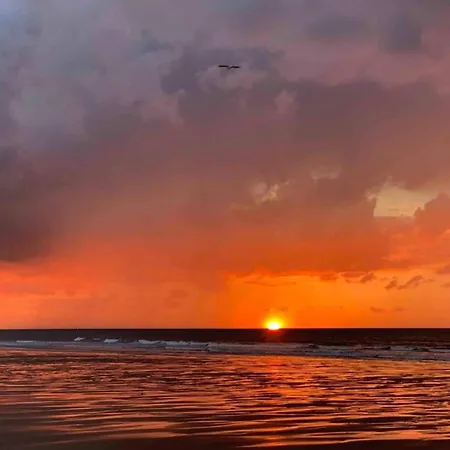 Seaside Escape Mariakerke Daire *