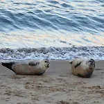 Seaside Escape Mariakerke * Οστένδη